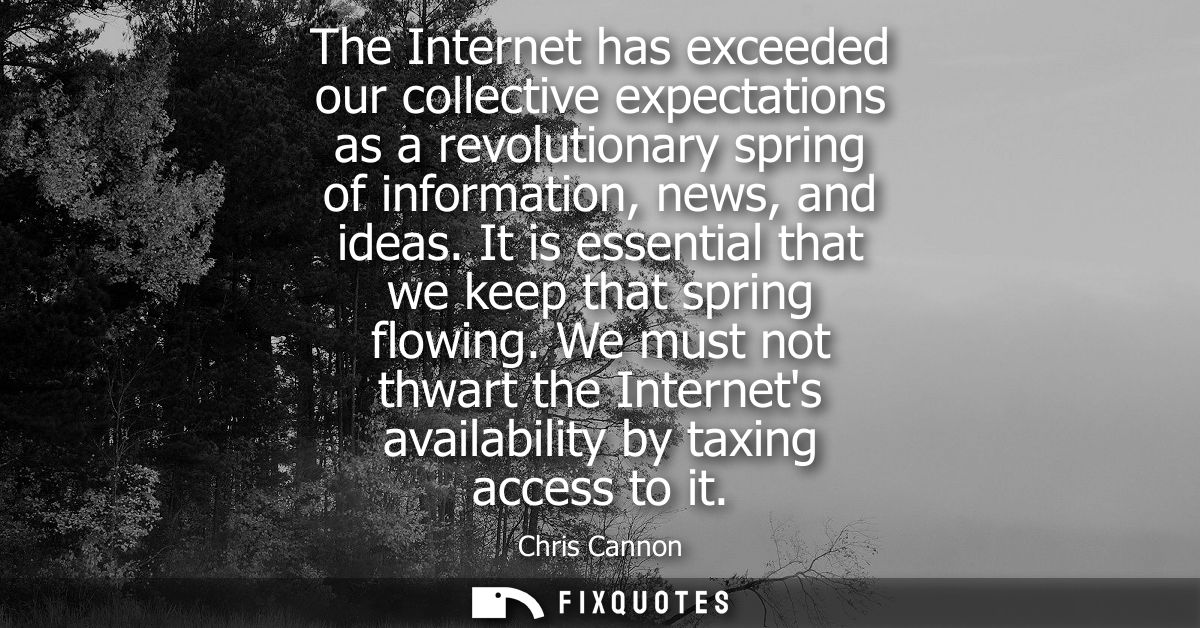 The Internet has exceeded our collective expectations as a revolutionary spring of information, news, and ideas.
