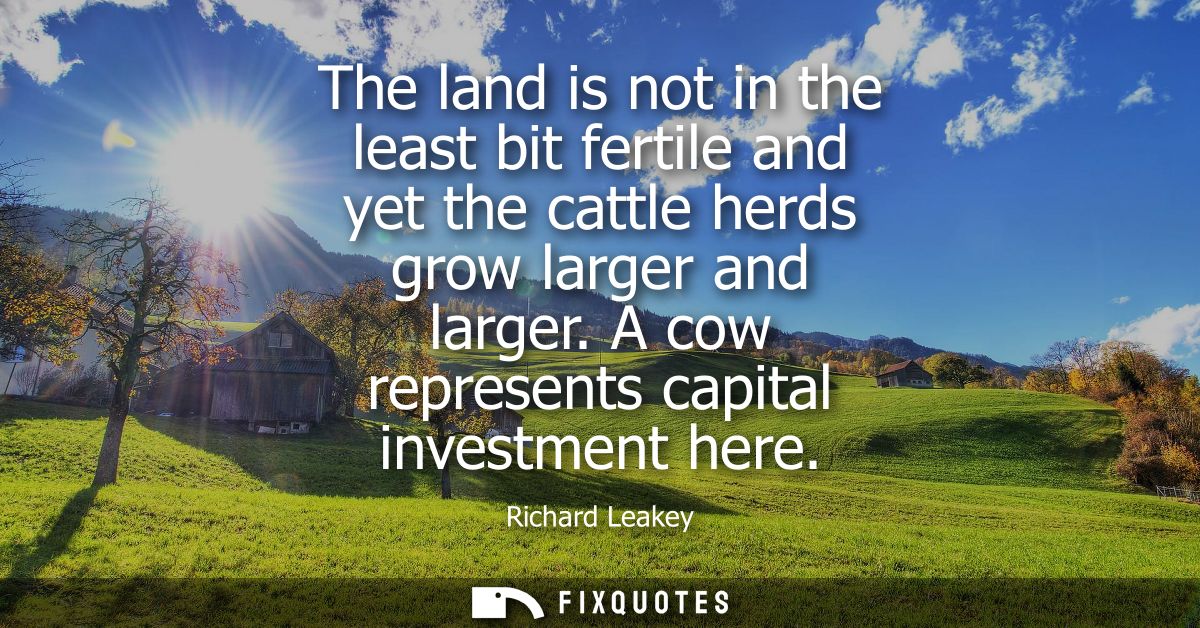 The land is not in the least bit fertile and yet the cattle herds grow larger and larger. A cow represents capital inves