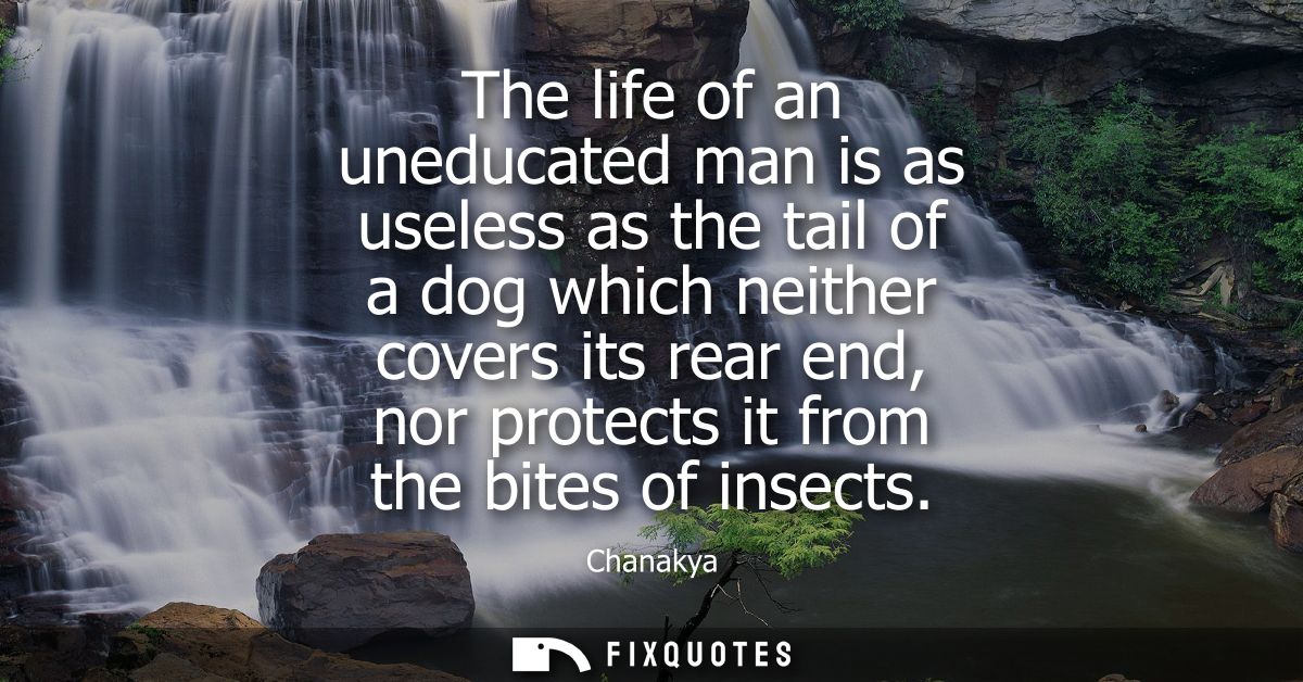 The life of an uneducated man is as useless as the tail of a dog which neither covers its rear end, nor protects it from