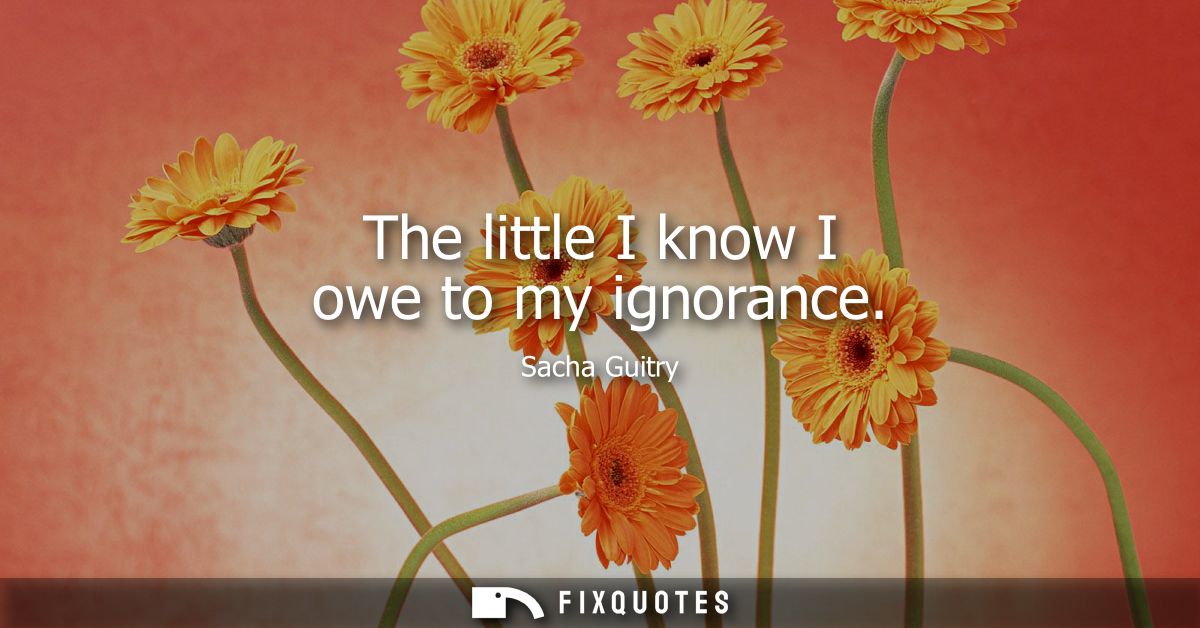The little I know I owe to my ignorance