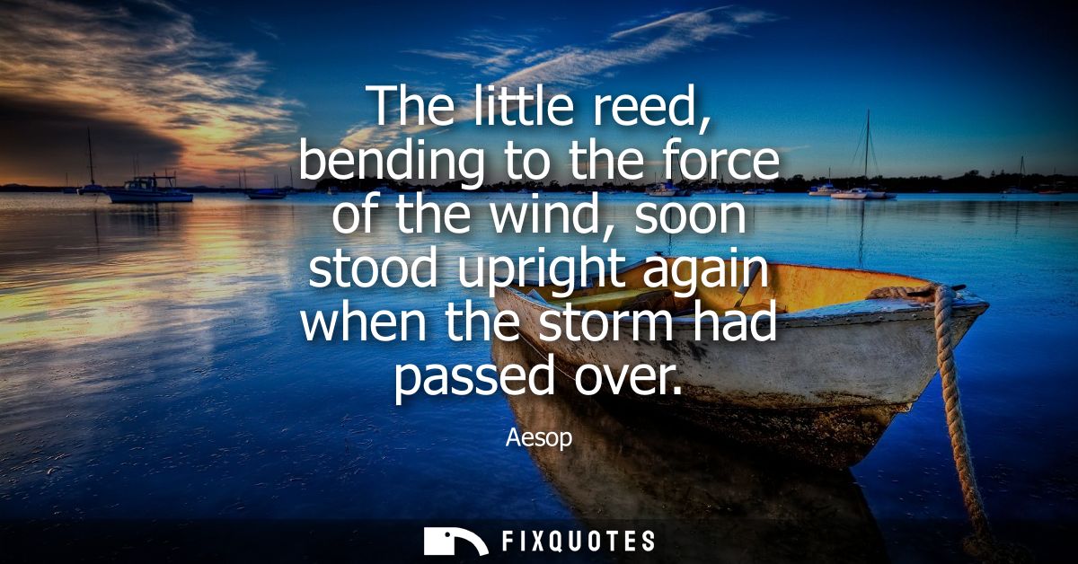 The little reed, bending to the force of the wind, soon stood upright again when the storm had passed over