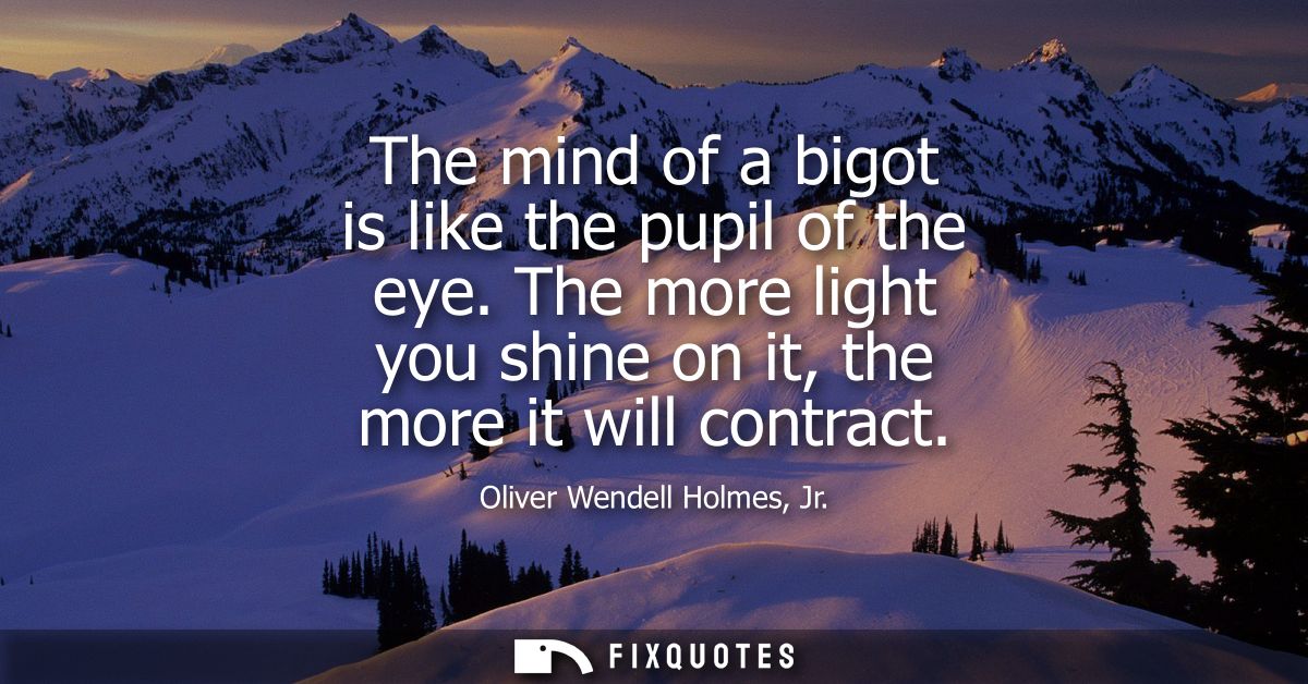 The mind of a bigot is like the pupil of the eye. The more light you shine on it, the more it will contract