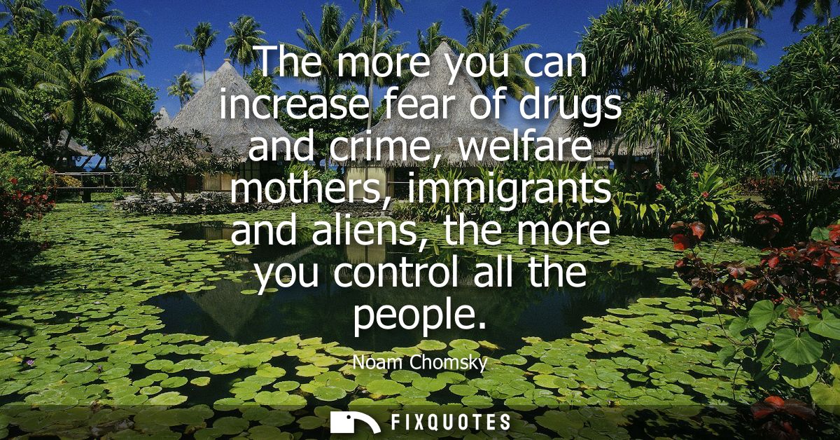 The more you can increase fear of drugs and crime, welfare mothers, immigrants and aliens, the more you control all the 