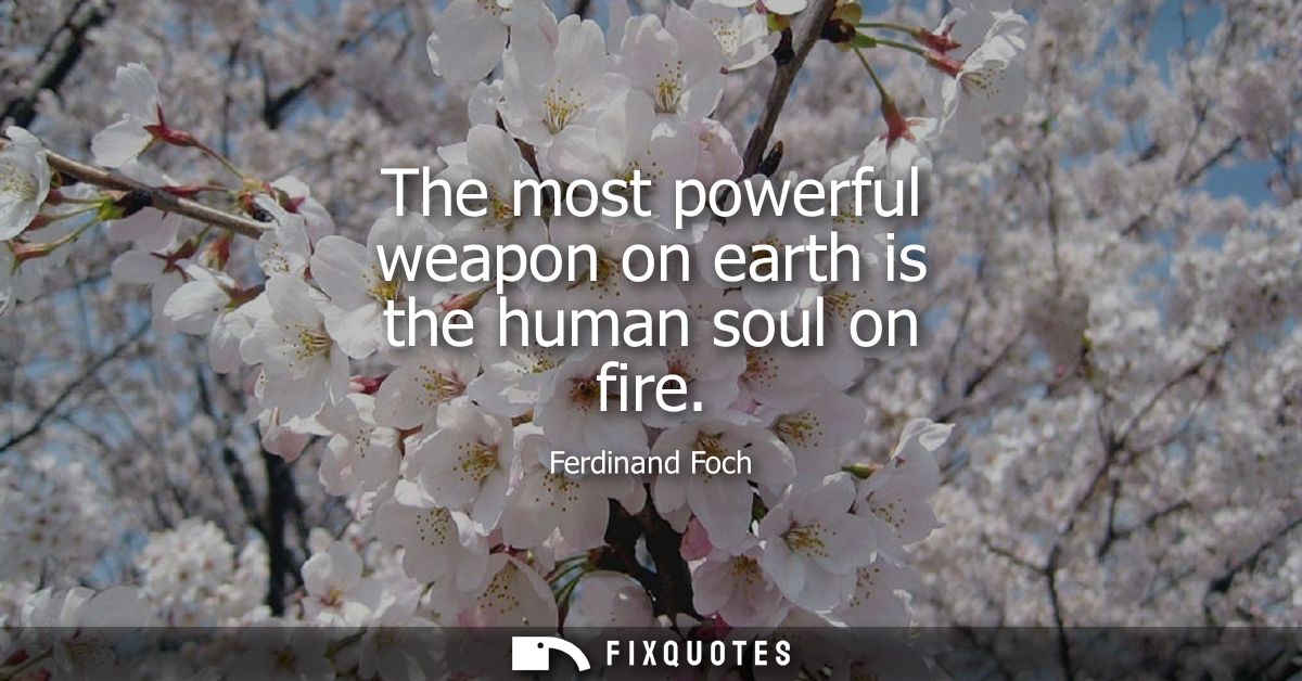 The most powerful weapon on earth is the human soul on fire