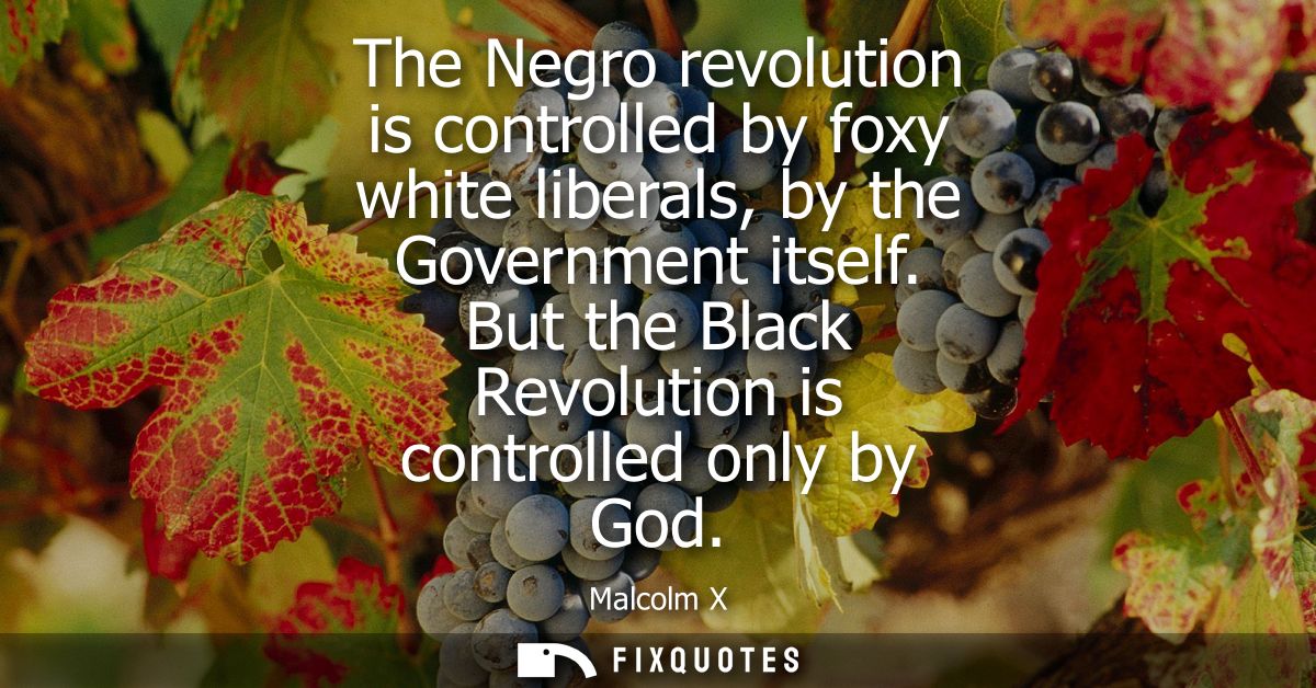 The Negro revolution is controlled by foxy white liberals, by the Government itself. But the Black Revolution is control