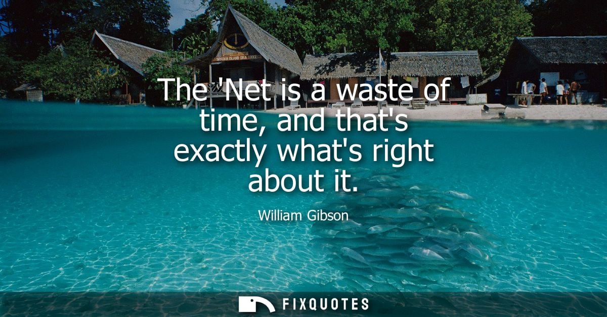 The Net is a waste of time, and thats exactly whats right about it