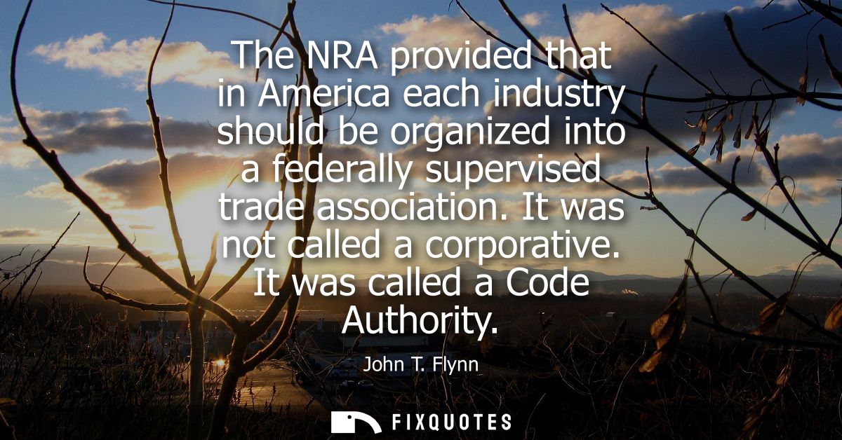 The NRA provided that in America each industry should be organized into a federally supervised trade association. It was