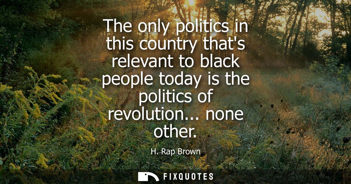 The only politics in this country thats relevant to black people today is the politics of revolution... none other