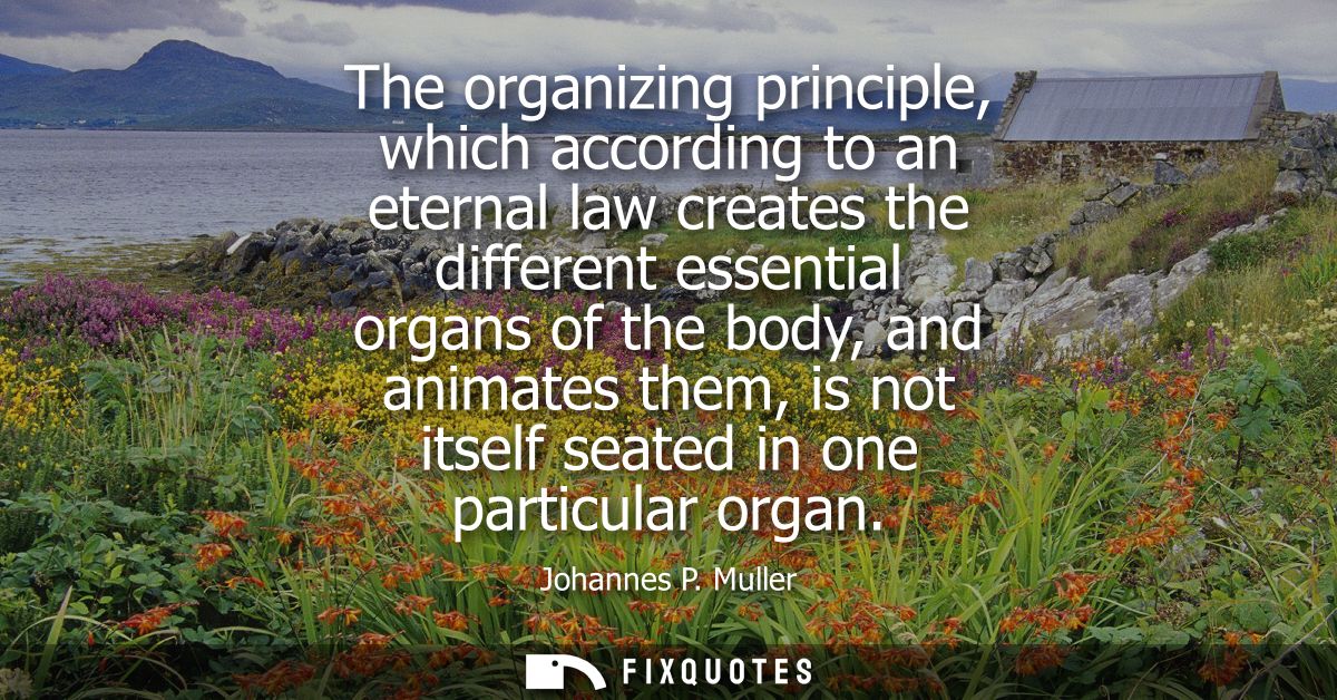 The organizing principle, which according to an eternal law creates the different essential organs of the body, and anim