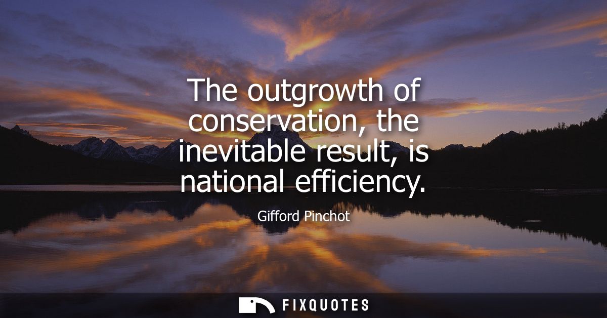 The outgrowth of conservation, the inevitable result, is national efficiency