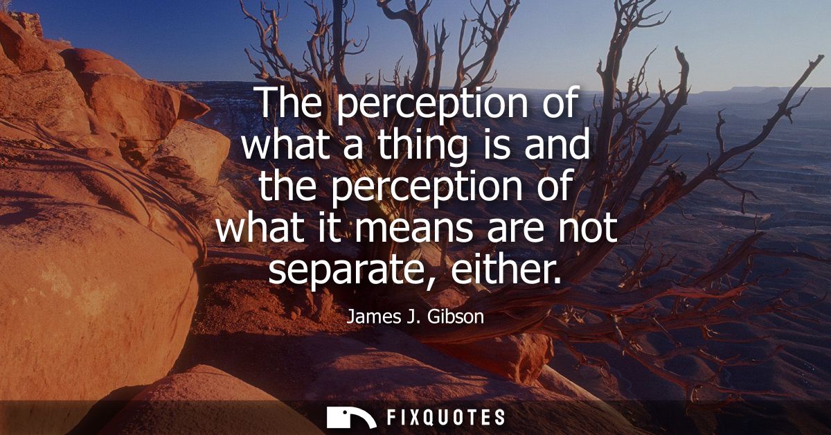 The perception of what a thing is and the perception of what it means are not separate, either