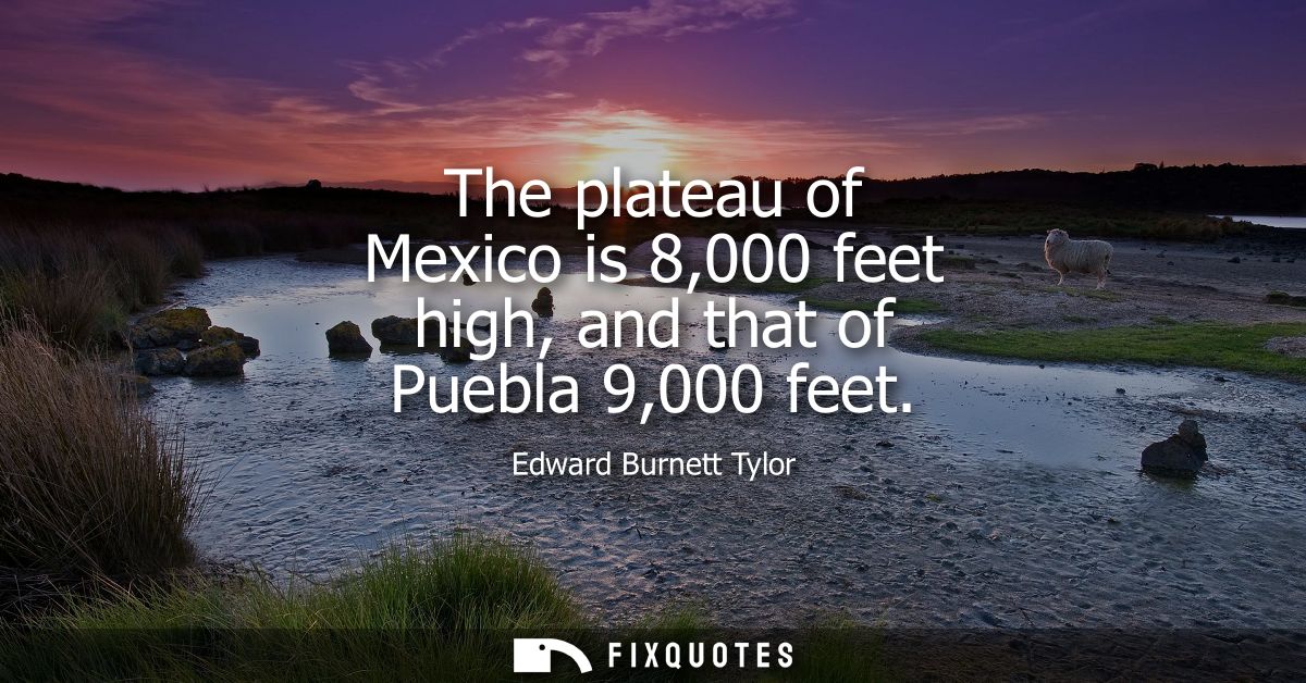 The plateau of Mexico is 8,000 feet high, and that of Puebla 9,000 feet