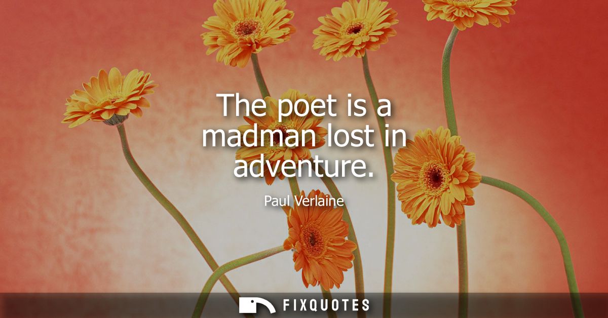 The poet is a madman lost in adventure