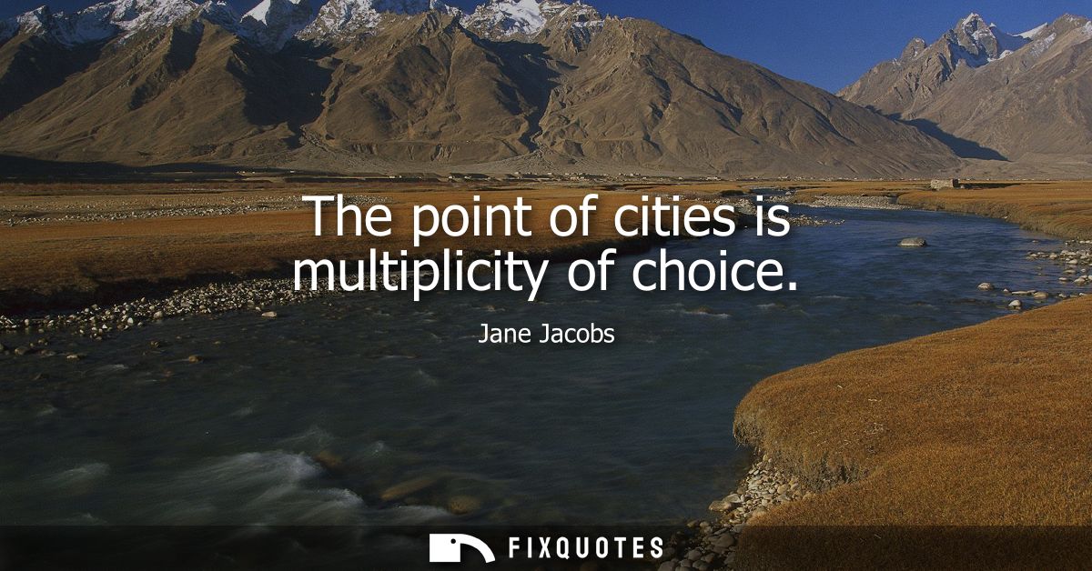The point of cities is multiplicity of choice
