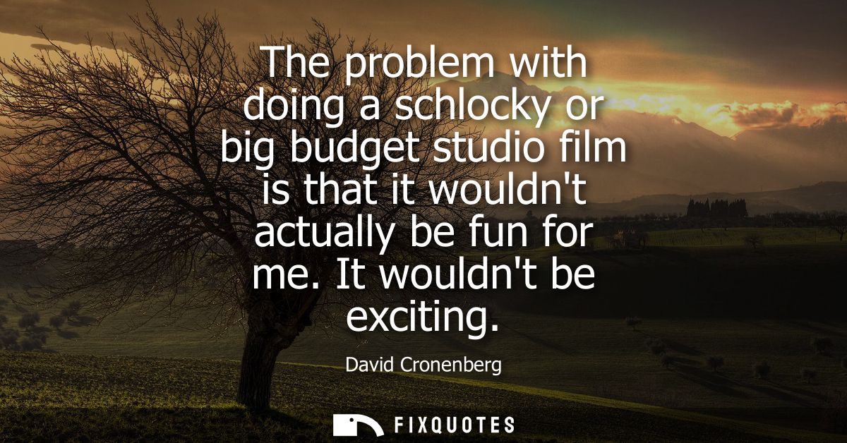 The problem with doing a schlocky or big budget studio film is that it wouldnt actually be fun for me. It wouldnt be exc