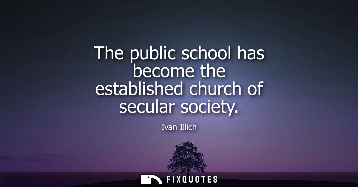 The public school has become the established church of secular society