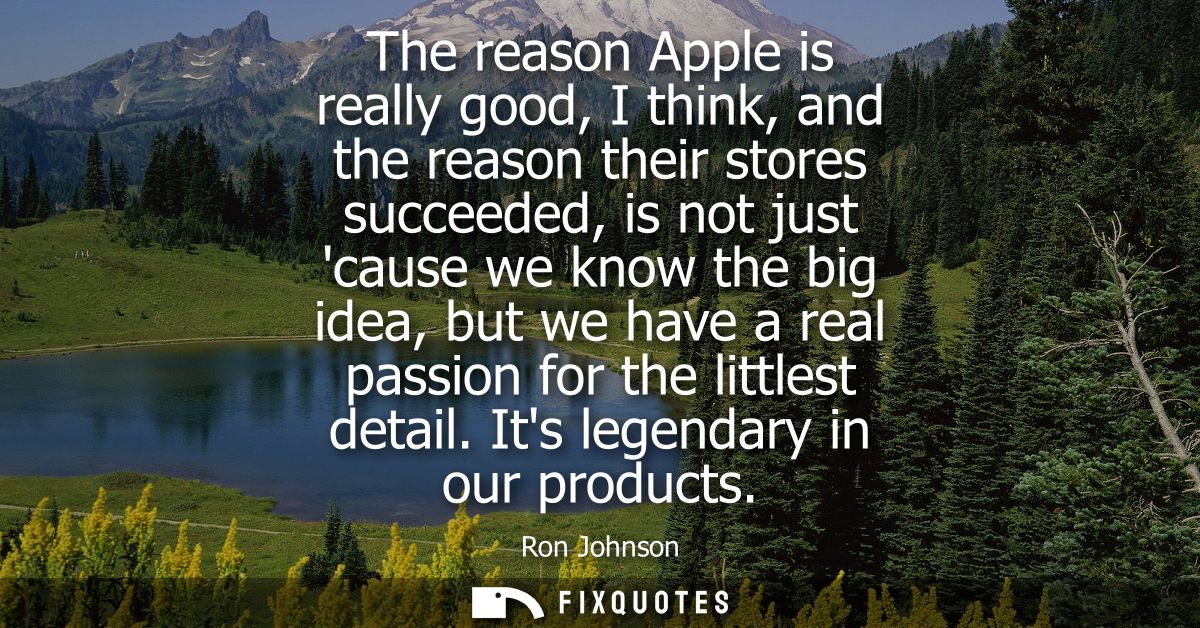 The reason Apple is really good, I think, and the reason their stores succeeded, is not just cause we know the big idea,