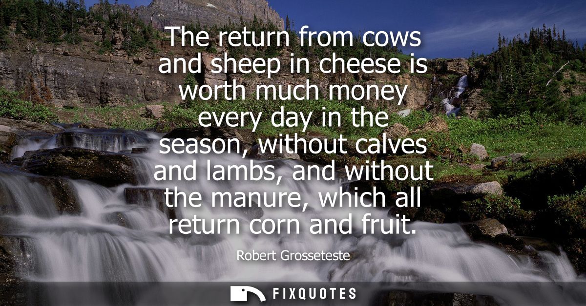 The return from cows and sheep in cheese is worth much money every day in the season, without calves and lambs, and with
