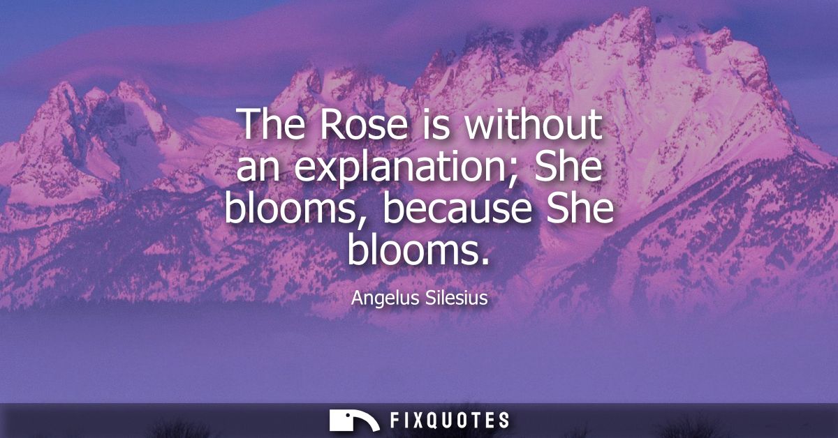 The Rose is without an explanation She blooms, because She blooms