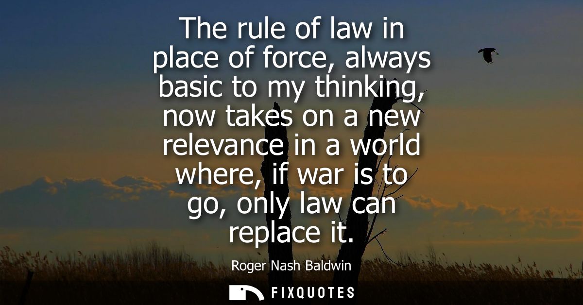 The rule of law in place of force, always basic to my thinking, now takes on a new relevance in a world where, if war is