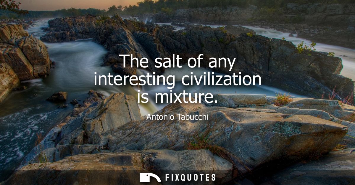 The salt of any interesting civilization is mixture