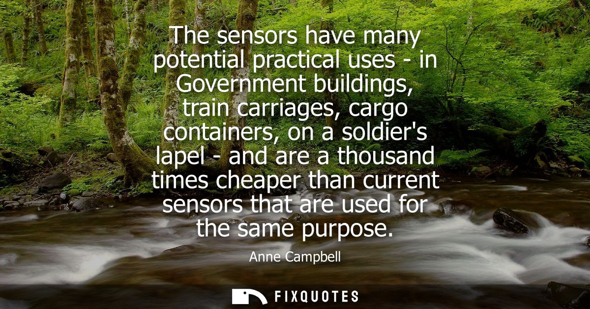 The sensors have many potential practical uses - in Government buildings, train carriages, cargo containers, on a soldie