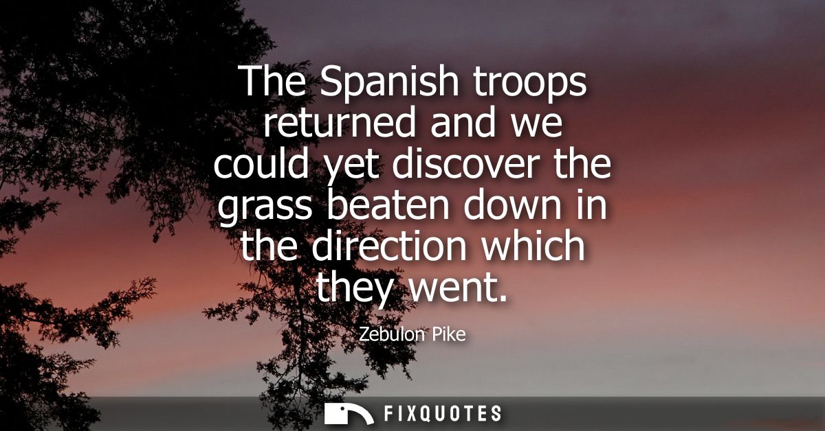 The Spanish troops returned and we could yet discover the grass beaten down in the direction which they went