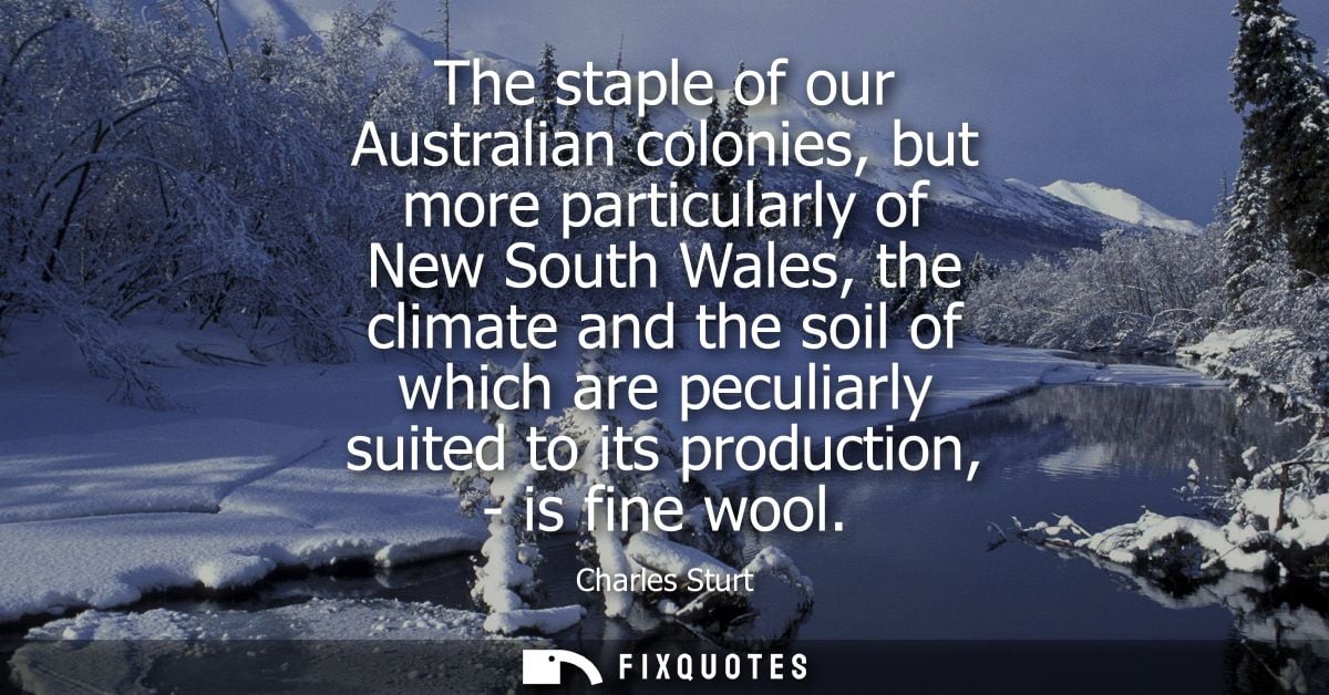 The staple of our Australian colonies, but more particularly of New South Wales, the climate and the soil of which are p