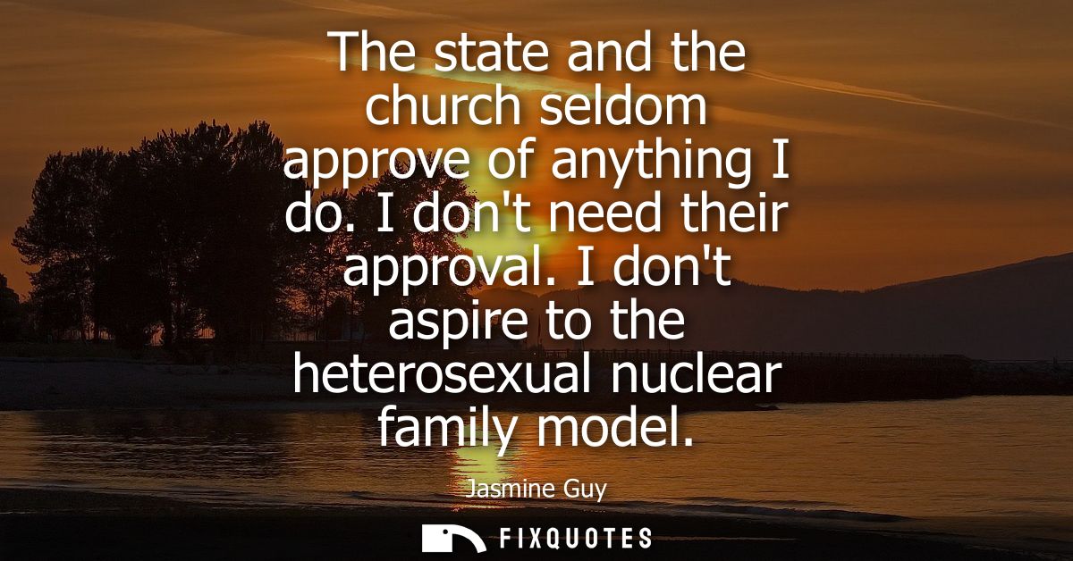 The state and the church seldom approve of anything I do. I dont need their approval. I dont aspire to the heterosexual 