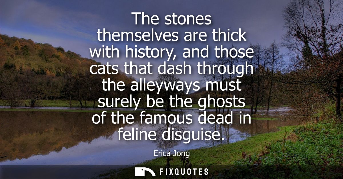 The stones themselves are thick with history, and those cats that dash through the alleyways must surely be the ghosts o