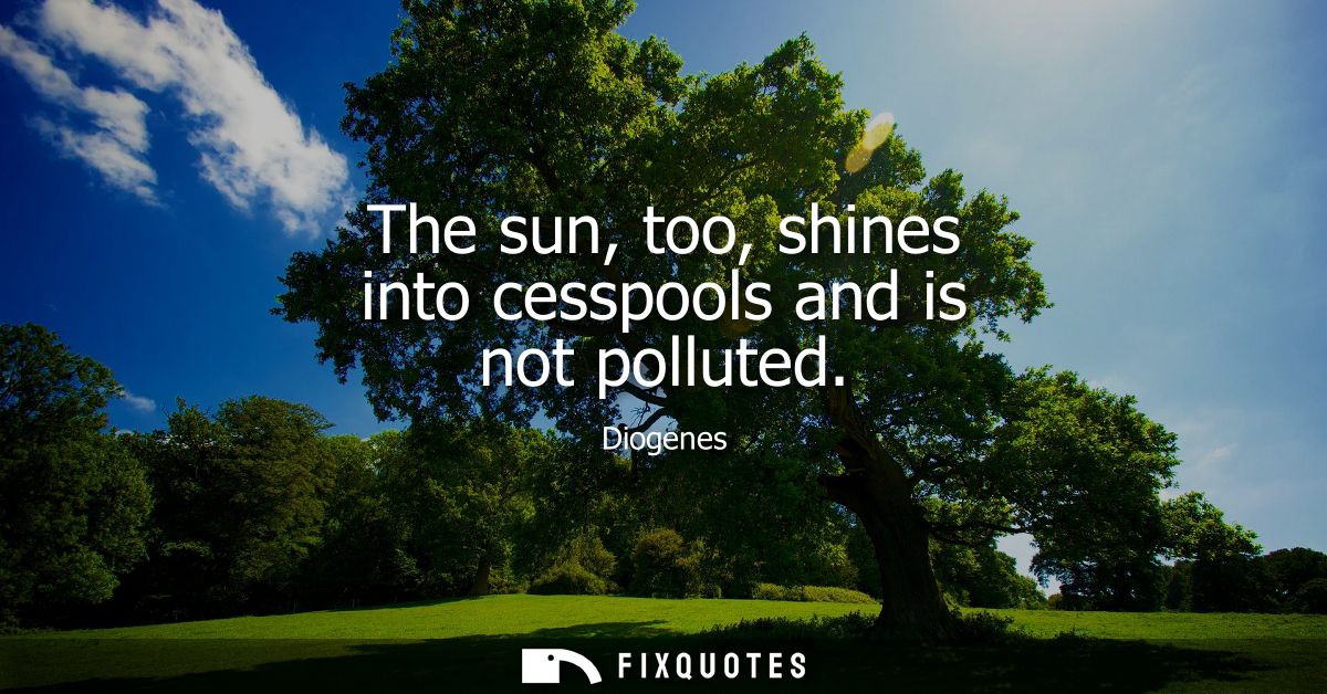 The sun, too, shines into cesspools and is not polluted