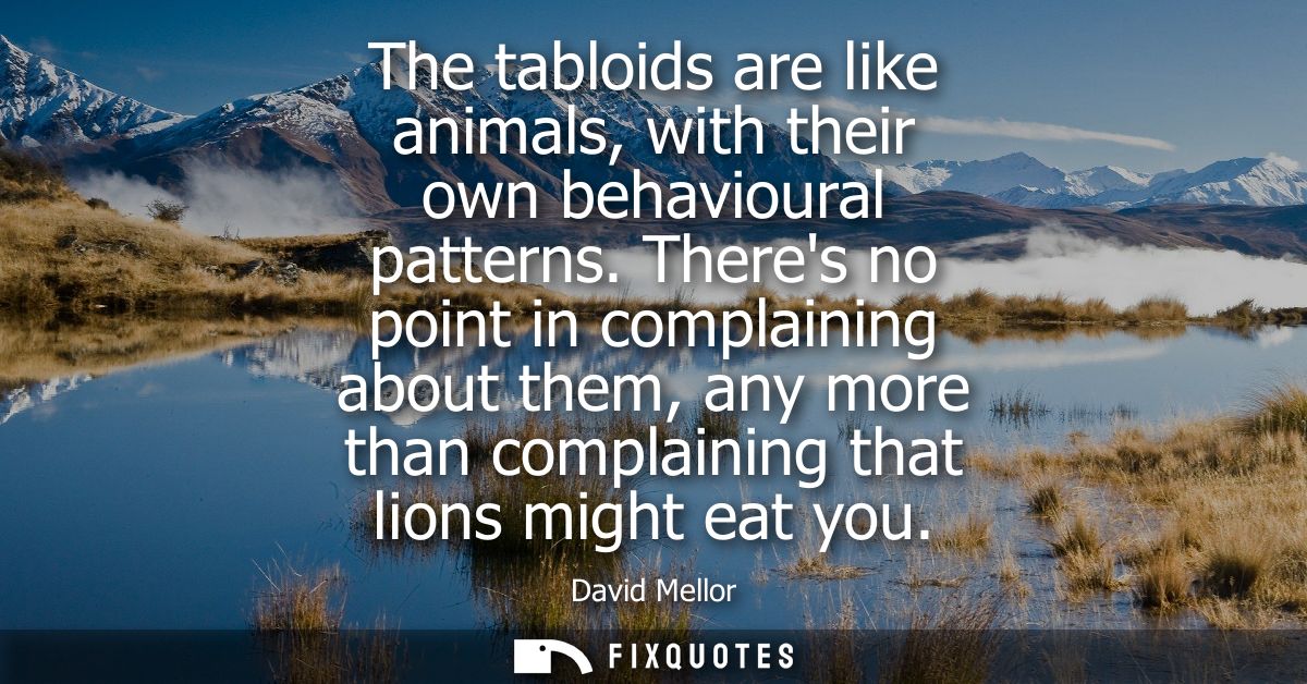The tabloids are like animals, with their own behavioural patterns. Theres no point in complaining about them, any more 