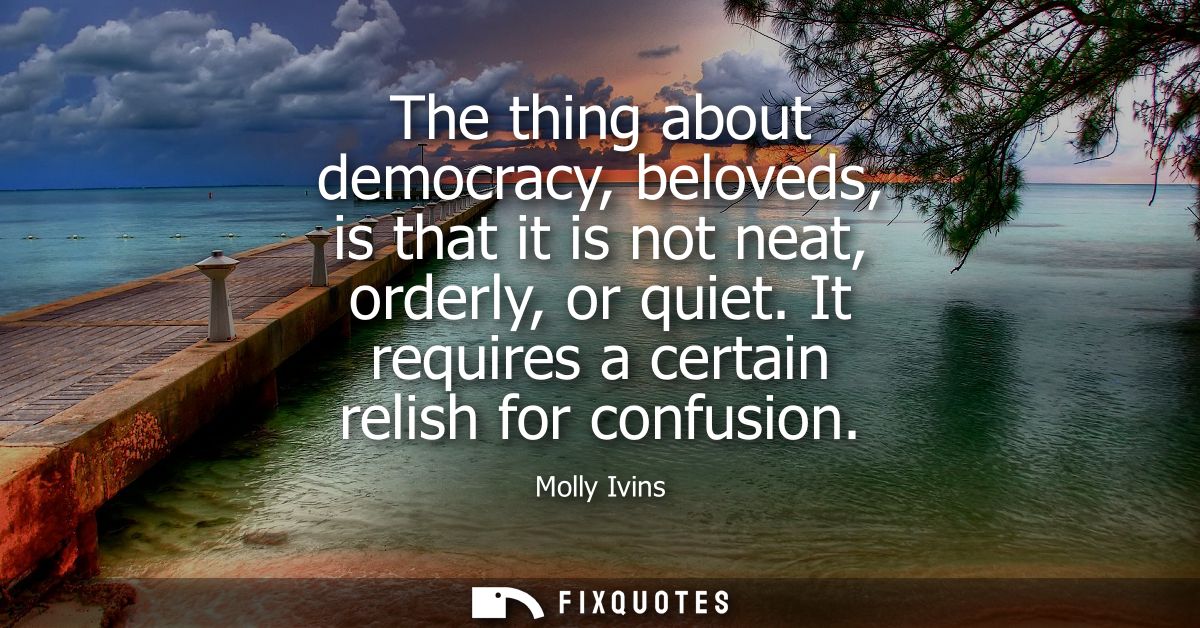 The thing about democracy, beloveds, is that it is not neat, orderly, or quiet. It requires a certain relish for confusi