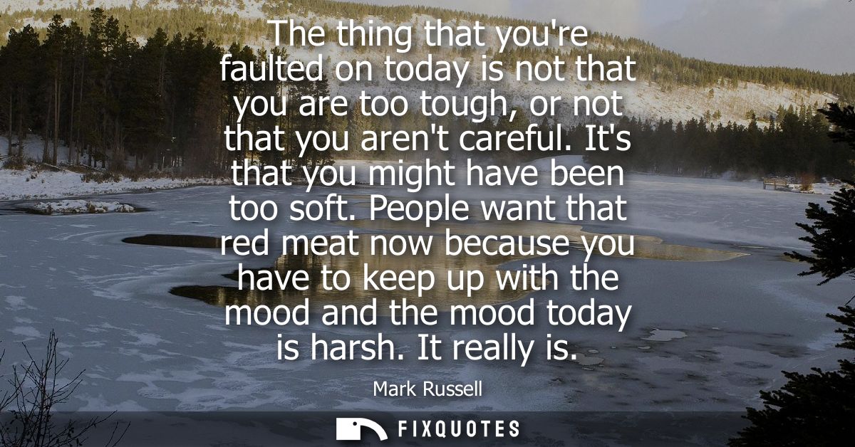 The thing that youre faulted on today is not that you are too tough, or not that you arent careful. Its that you might h