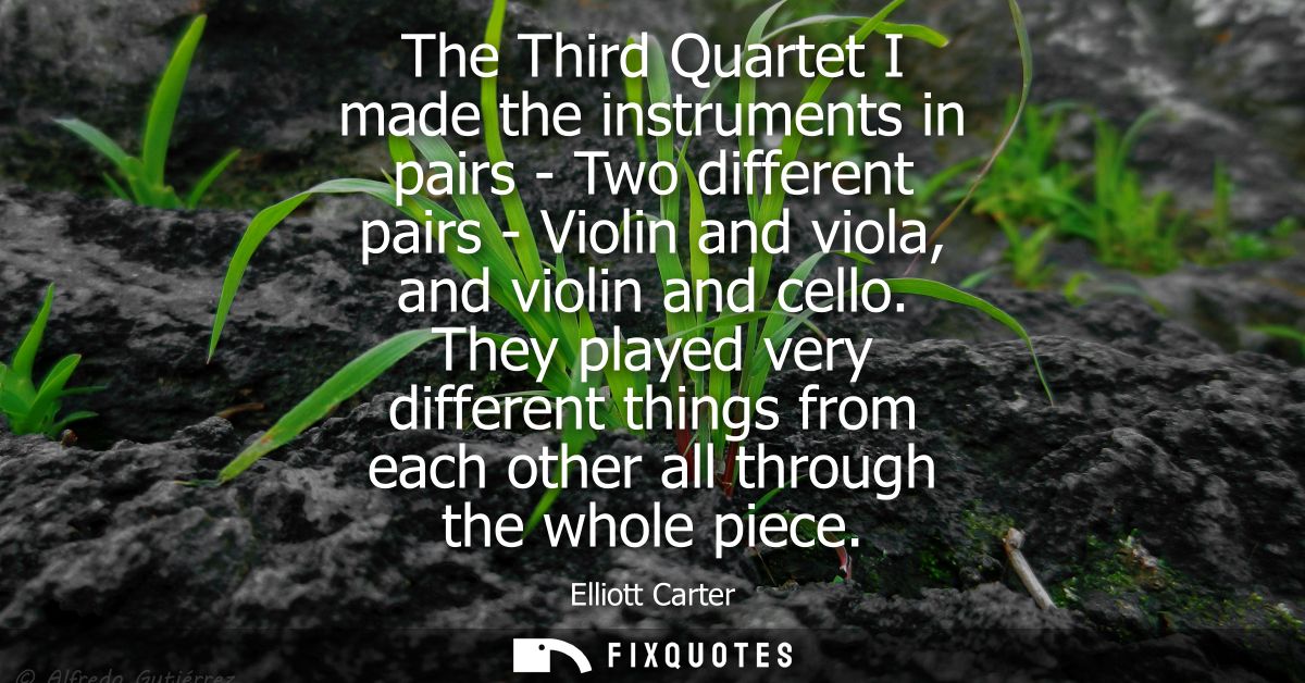 The Third Quartet I made the instruments in pairs - Two different pairs - Violin and viola, and violin and cello.
