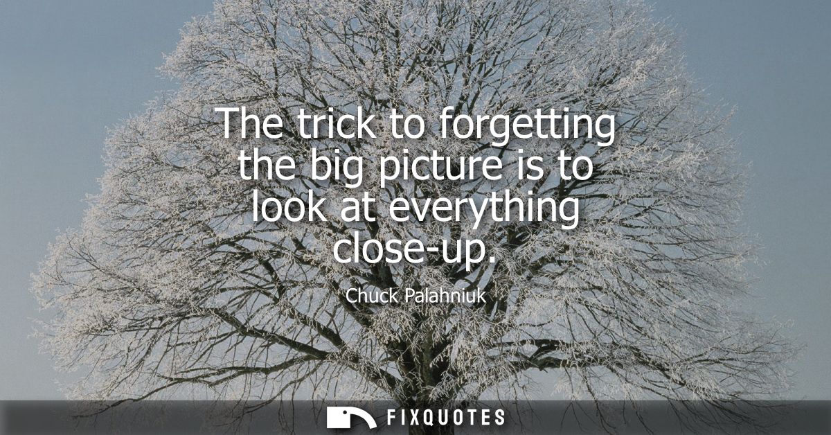 The trick to forgetting the big picture is to look at everything close-up