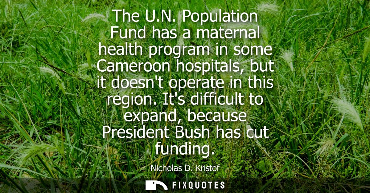 The U.N. Population Fund has a maternal health program in some Cameroon hospitals, but it doesnt operate in this region.