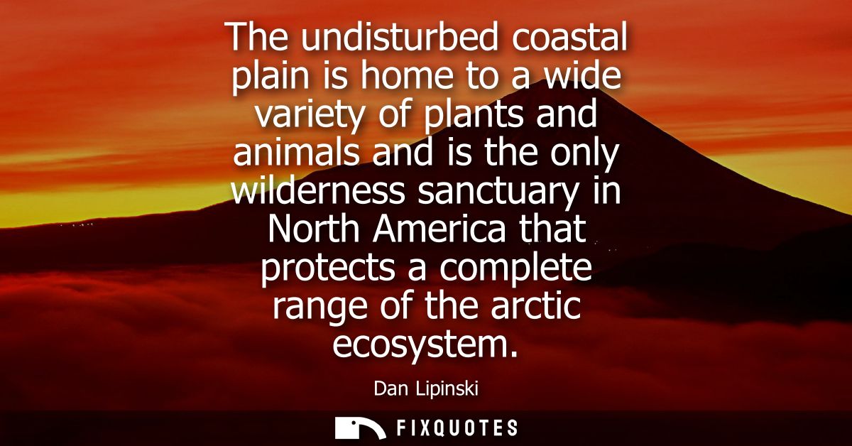 The undisturbed coastal plain is home to a wide variety of plants and animals and is the only wilderness sanctuary in No