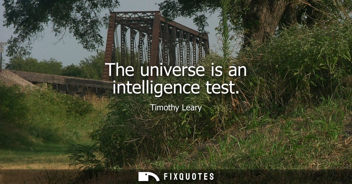 The universe is an intelligence test