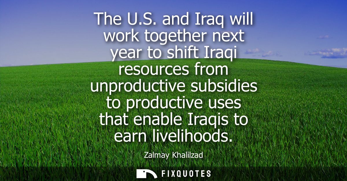 The U.S. and Iraq will work together next year to shift Iraqi resources from unproductive subsidies to productive uses t