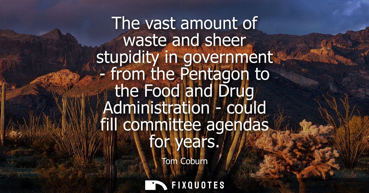 The vast amount of waste and sheer stupidity in government - from the Pentagon to the Food and Drug Administration - cou