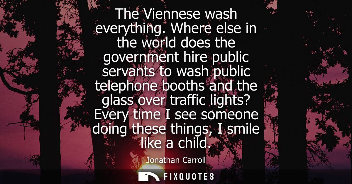 The Viennese wash everything. Where else in the world does the government hire public servants to wash public telephone 