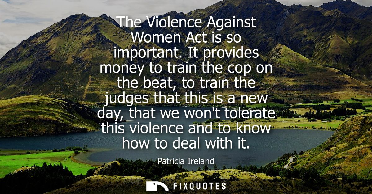 The Violence Against Women Act is so important. It provides money to train the cop on the beat, to train the judges that
