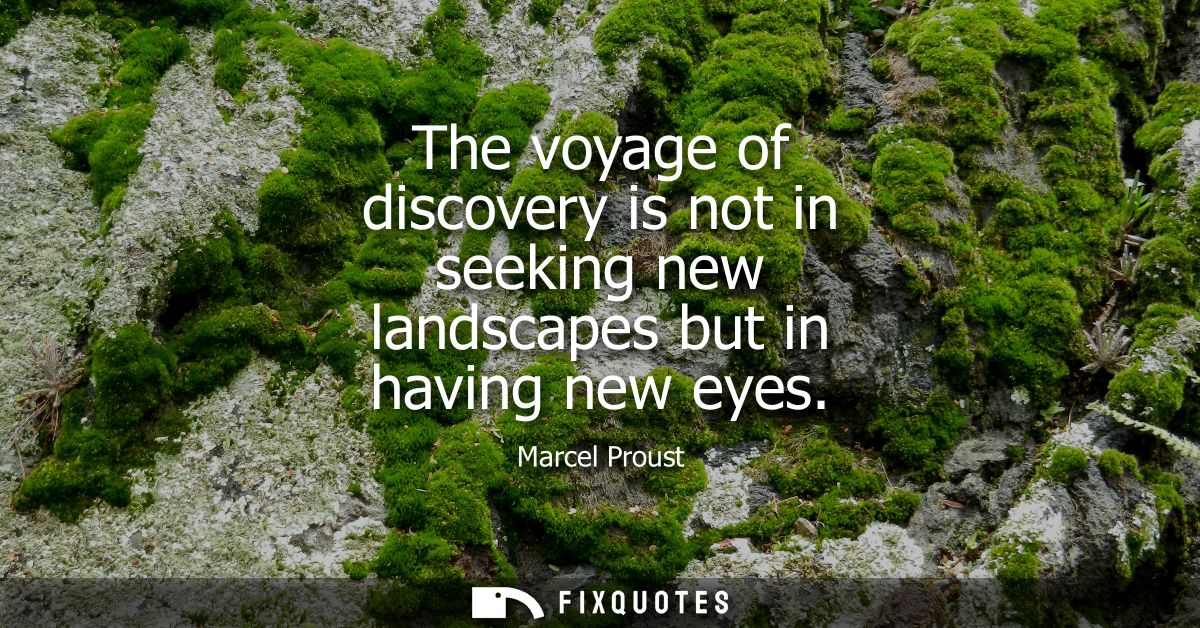 The voyage of discovery is not in seeking new landscapes but in having new eyes