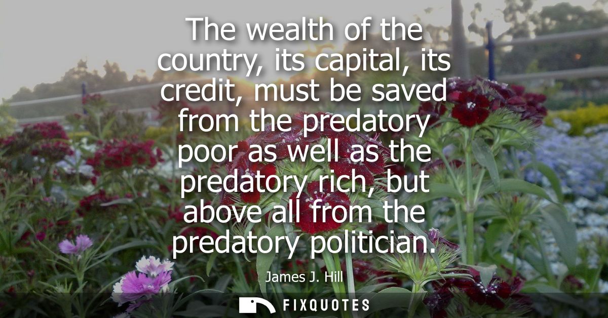 The wealth of the country, its capital, its credit, must be saved from the predatory poor as well as the predatory rich,