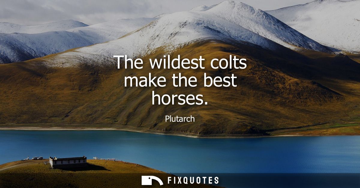 The wildest colts make the best horses