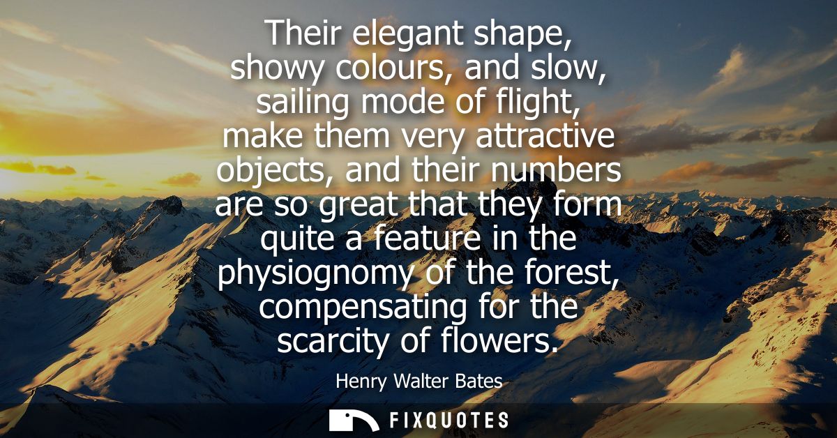 Their elegant shape, showy colours, and slow, sailing mode of flight, make them very attractive objects, and their numbe