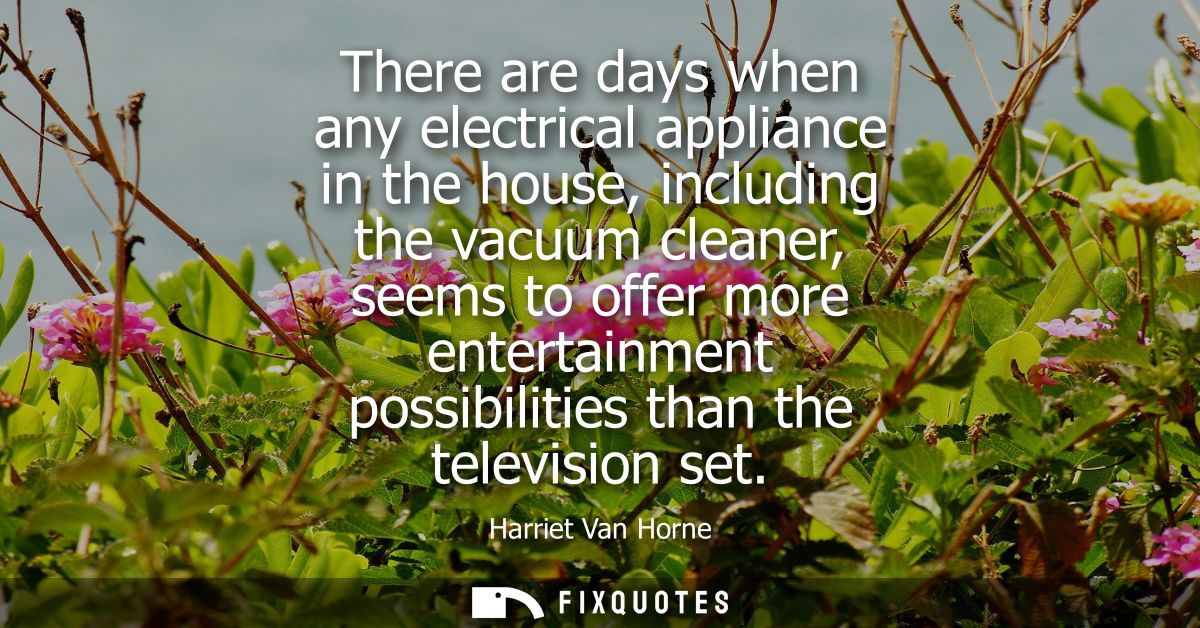 There are days when any electrical appliance in the house, including the vacuum cleaner, seems to offer more entertainme