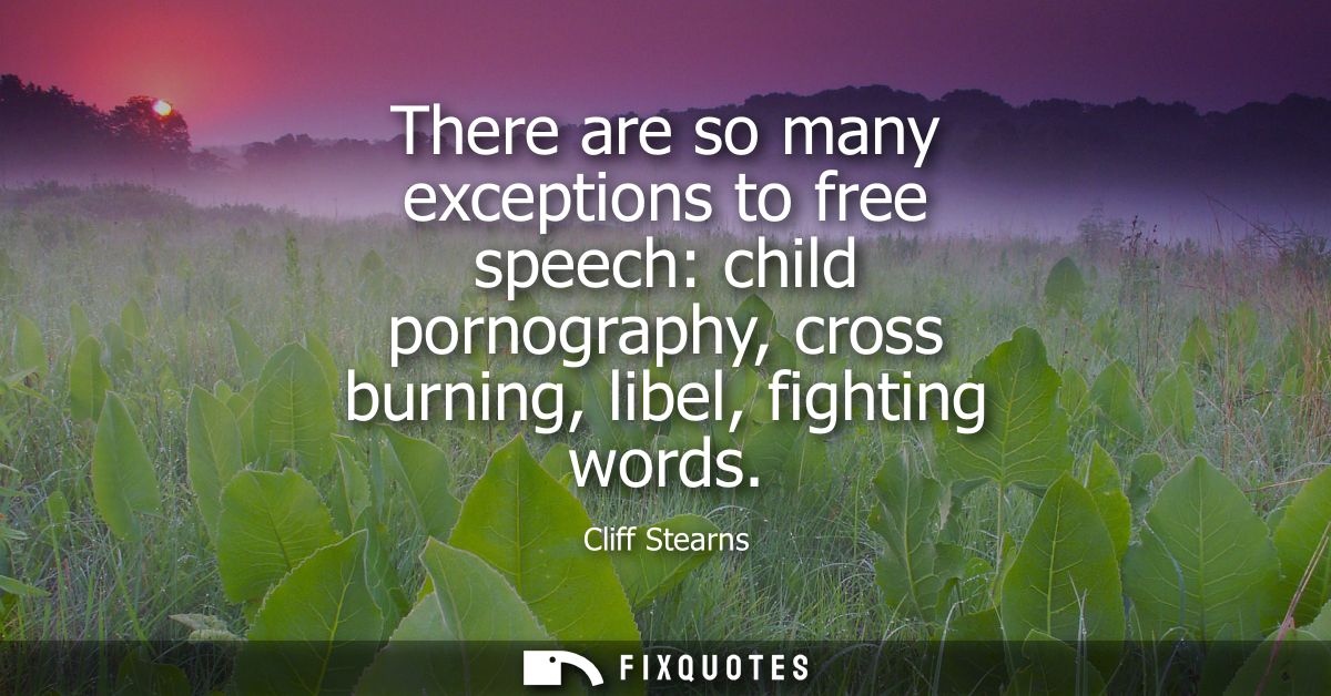 There are so many exceptions to free speech: child pornography, cross burning, libel, fighting words