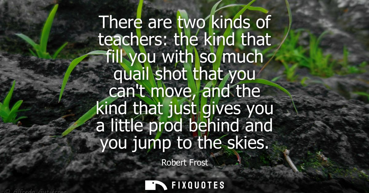 There are two kinds of teachers: the kind that fill you with so much quail shot that you cant move, and the kind that ju